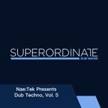Artwork for "Nae:Tek Presents Dub Techno, Vol. 5"