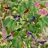 Artwork for "Sketches from an Island"