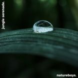 Artwork for "Jungle Serenade: Amazon Rainforest"