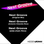 Portada para "Next Groove"