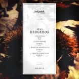 Artwork for "Hedgehog"