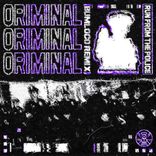 Portada para "Run From The Police (Bumloco Remix)"