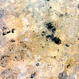 Artwork for "Petrichord"