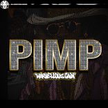 Artwork for "Pimp"