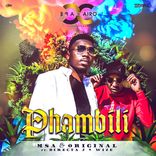 Artwork for "Phambili"