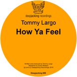 Portada para "How Ya Feel"