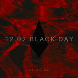 Artwork voor "12.02 Black Day"