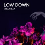Artwork für "Low Down"