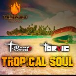 Artwork for "Tropical Soul (Tropical House)"
