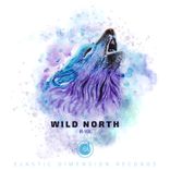 Artwork for "Wild North"