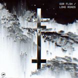 Artwork für "Long Roads"