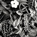 Artwork for "Deep Shades"