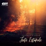 Artwork for "Jeito Estúpido"