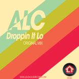 Artwork for "Droppin It Lo"