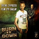 Artwork voor "Burn It Down"
