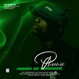 Artwork for "Phoenix"