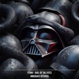 Artwork voor "Duel Of The Fates (Fury Edit)"