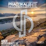 Artwork voor "Hidden Beauty"