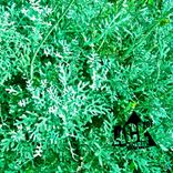 Artwork for "Nice & Easy"