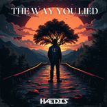 Artwork für "The way you lied"