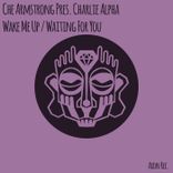 Artwork for "Wake Me Up / Waiting for You"