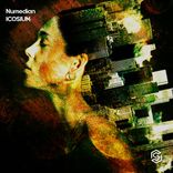 Portada para "Icosium"