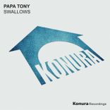 Artwork for "Swallows"