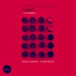 Artwork voor "Fondle Knobs Remixed"