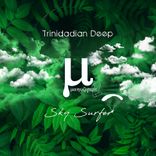 Artwork voor "Sky Surfer"