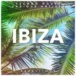 Portada para "Ibiza"