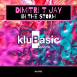 Artwork for "In The Storm"