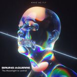 Artwork for "The Moonlight in Control"