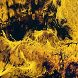 Artwork for "WXL Second Wave"