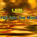 Fall Into The Mind
