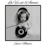 Artwork für "La Vie Est l'Amour"