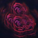 Not What You Expected