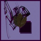 Artwork für "Clausura MMXX"