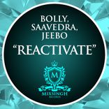 Artwork voor "Reactivate"