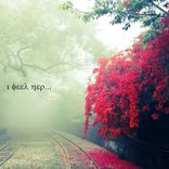 Portada para "I Feel Her (Drone In Ibiza Remix)"