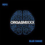 Artwork für "Blue Snake"