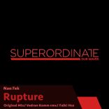 Portada para "Rupture"