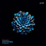 Artwork voor "Socotra"