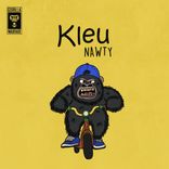 Portada para "Nawty"