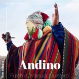 Artwork voor "Andino"