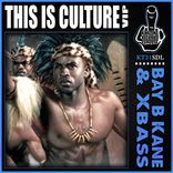 Artwork for "This Is Culture VIP"