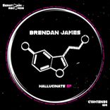 Portada para "Hallucinate"