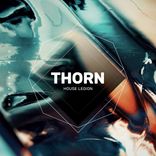 Artwork für "Thorn"