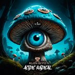 Artwork voor "Acidic Radical"