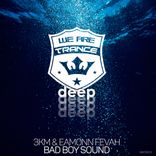 Artwork für "Bad Boy Sound"