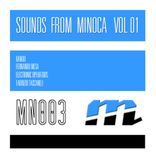Artwork for "Minoca Records 003"